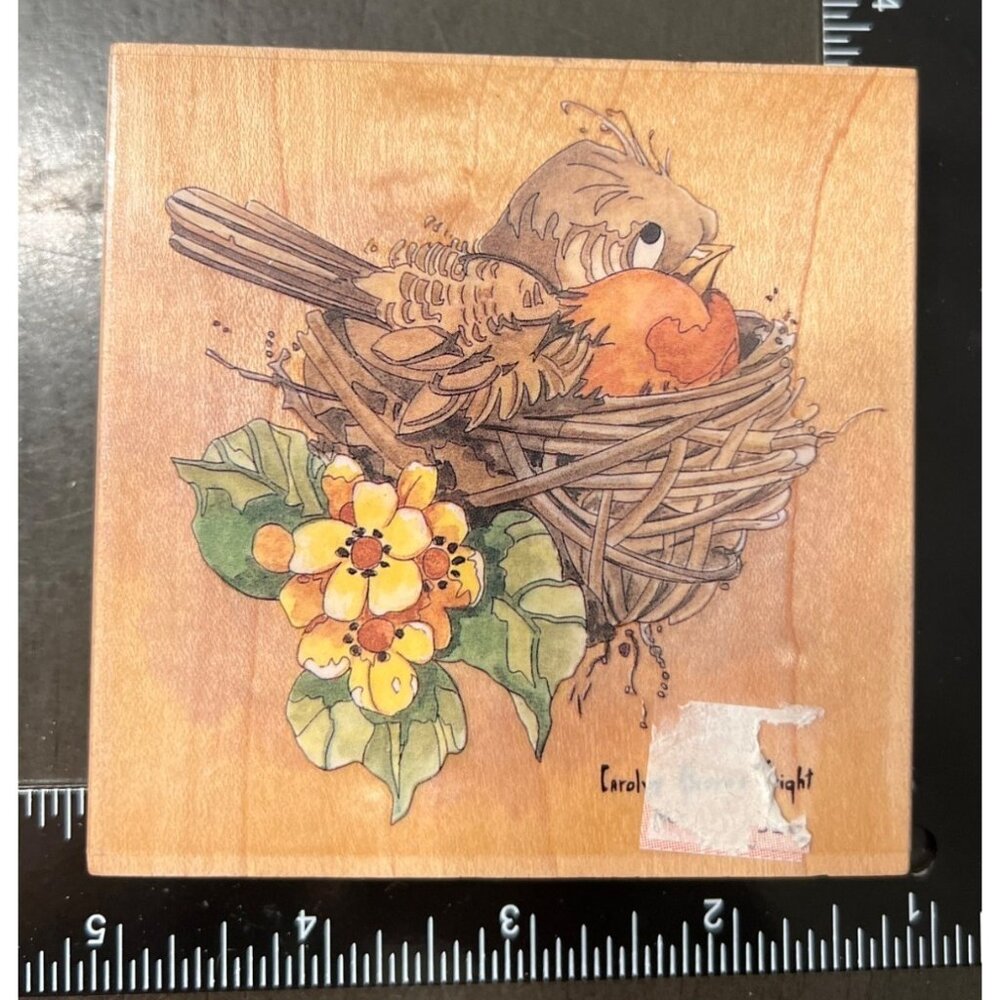 Robin Rubber Stamp By Carolyn Shores Wright For Stamps Happen Inc. 60043